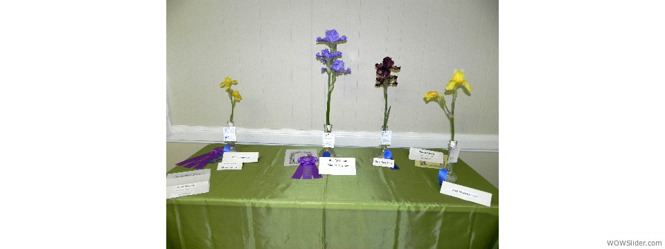 Flower Show Awards Table