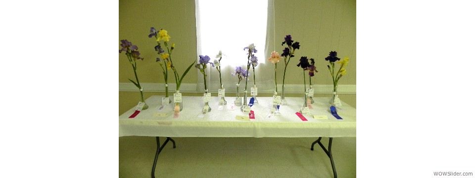 Flower Show Table 2