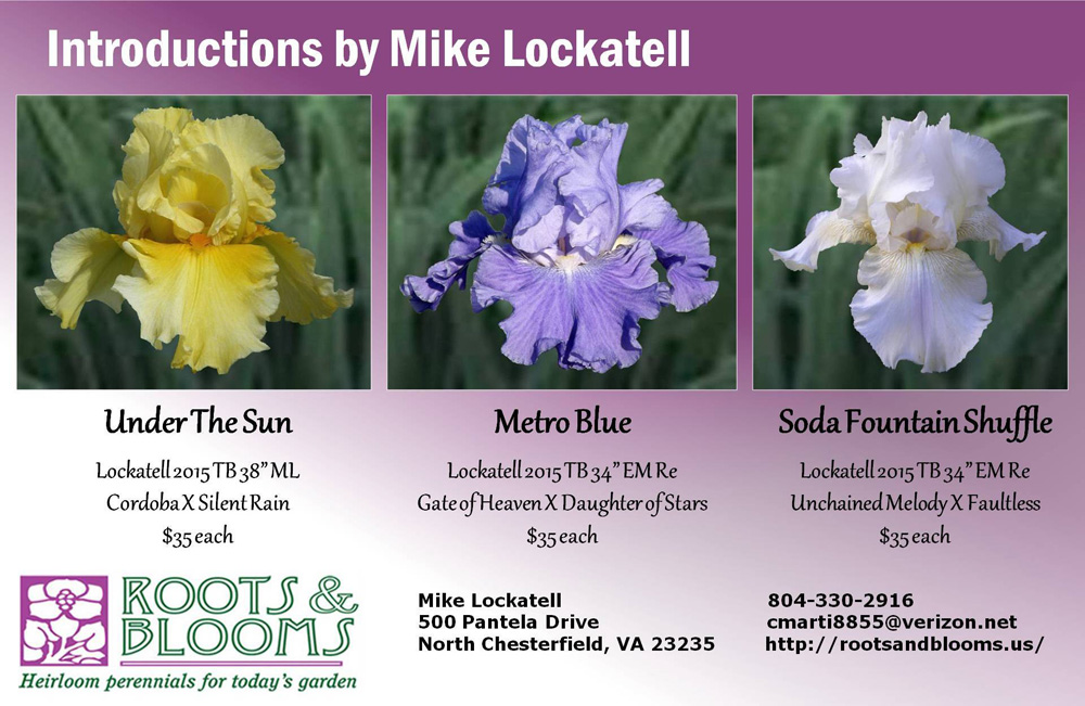 Under The Sun, Metro Blue, and Soda Fountain Shuffle Mike Lockatell introductions