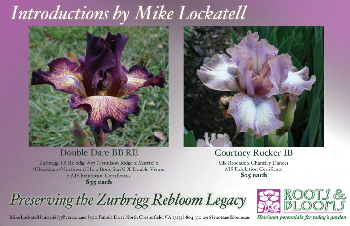 Double Dare and Courtney Rucker Mike Lockatell introductions